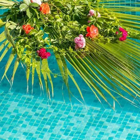 Hotel Hazal